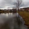 Fotogalerie » Rybník